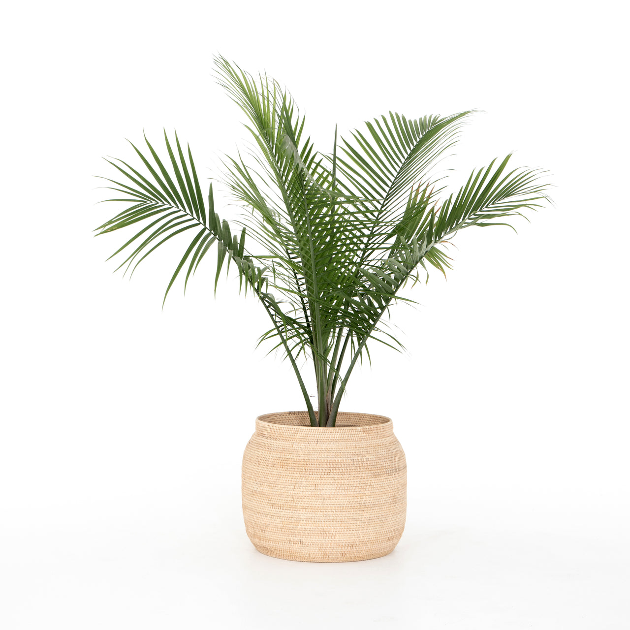 Ansel Natural Basket